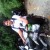 achmadarif