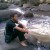 Pandega