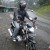 Arif