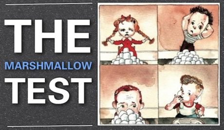 whats-your-marshmallow-The-Marshmallow-Test