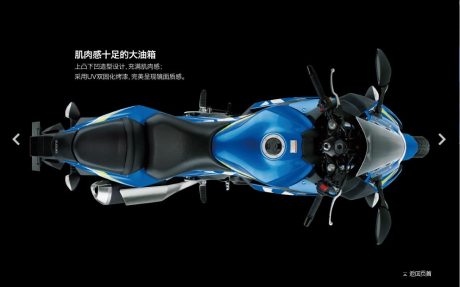2017-suzuki-gsx-250r-china-11